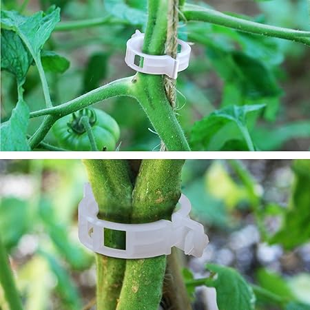 BenefitUSA planta apoyo jardín clips 25 mm Clips de enrejado de ...