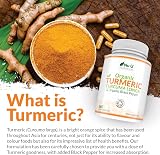 Nu U Nutrition Organic Turmeric Curcumin 600mg with Black Pepper 365 Veg Caps view 8