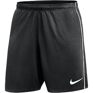 Nike Men's Dri-FIT Park 26 Shorts