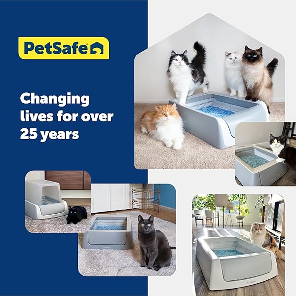 PETSAFE SCOOPFREE PREMIUM CRYSTAL CAT LITTER – OUTPERFORMS CLAY LITTER – REFILL PACKS – REUSABLE TRAY COMPATIBLE – FRESH SCENT – 4.3 LB BAGS – 2 PACK