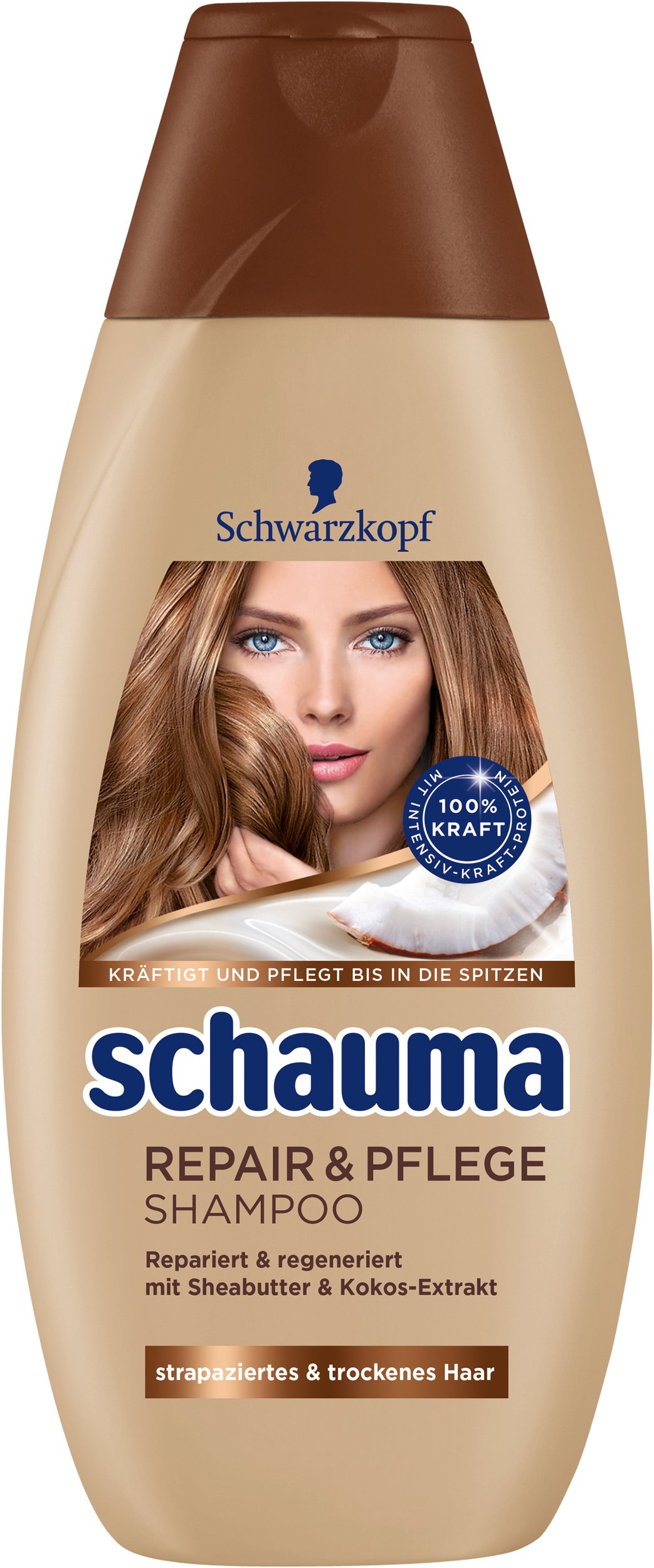 Schauma Shampoo Family, 4er Pack (4 x 400 ml)
