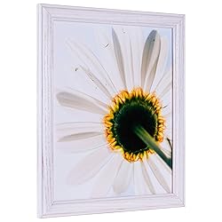 Craig Frames Wiltshire 236, Simple White Hardwood