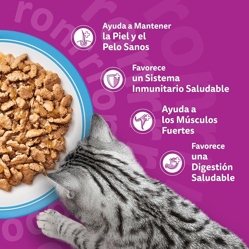 Comida Húmeda para Gatos Adultos Selección Pescados en Gelatina (Multipack 4x12x85g)