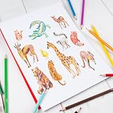 abeec Assorted Colouring Pencils 40 Assorted Artist Pencils Kids Back To School view 6