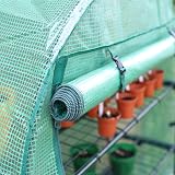 DIVCHI 4 Tier Greenhouse with Frame and Cover Outdoor Patio Garden view 6