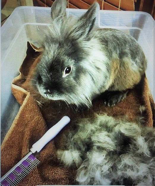 hair buster bunny brush