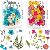 YoothBro 191PCS Real Nature Dried Pressed Flowers for Resin Jewelry Nail Art view 3
