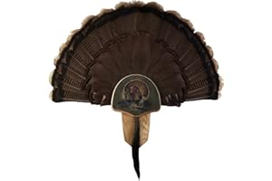 Walnut Hollow Country Turkey Fan Mount & Display Kit, Oak with Drumsticks Image