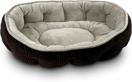 tri color collie puppies for sale