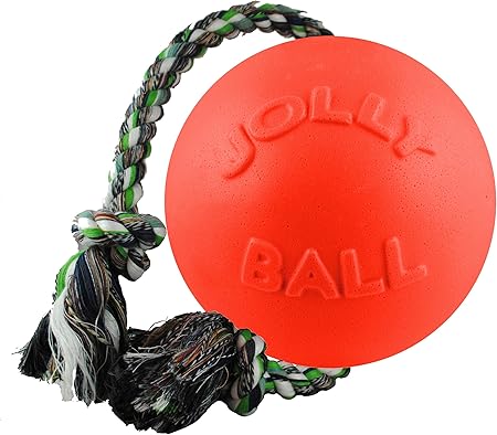 jolly ball with rope