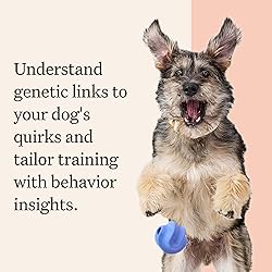 Wisdom Panel Premium Dog DNA Kit: Most