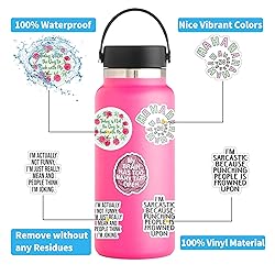 60Pcs Sarcasm Stickers, Sarcastic Quotes