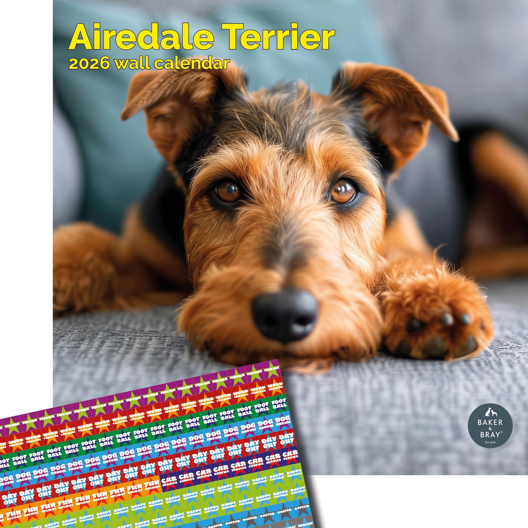 Baker and Bray Airedale Calendar 2026, Large Square Wall Calendar With Organisational Stickers, 16 Month, Airedale Gift Dog Calendar