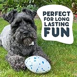 Petface Outdoor Paws Mighty Rugby Ball Dog Toy Extra Strong view 4
