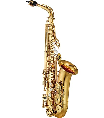 Amazon.com: Prelude Student Model AS711 Alto Saxophone by