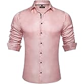 DiBanGu Mens Shirt, Paisley Floral Dress Shirt Long Sleeve with Collar Pin Brooch