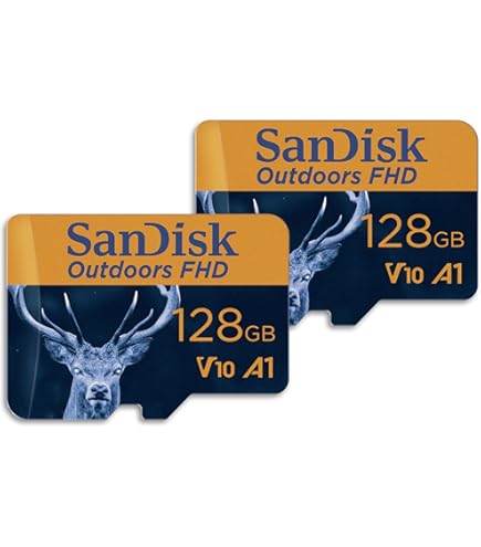 128 Gb Micro Sd Card SanDisk 64GB 2-Pack Outdoors 4K MicroSDXC UHS