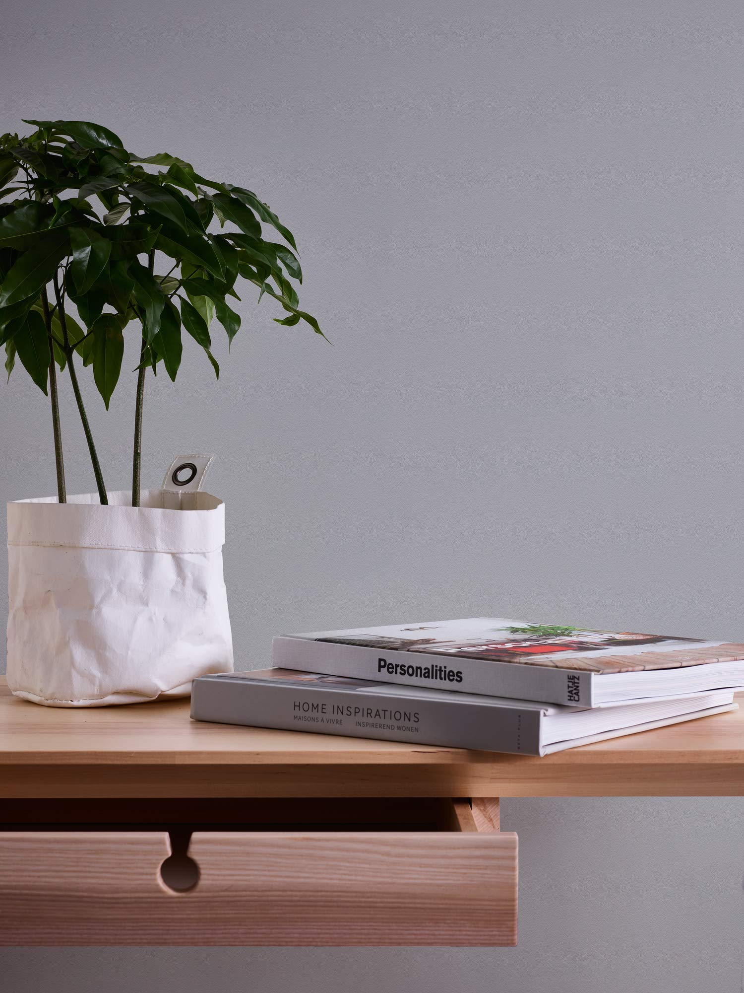 View 4
