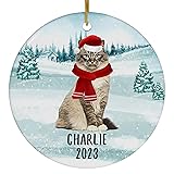 Santa Hat and Scarf Welcome Winter Tabby Birman Cat