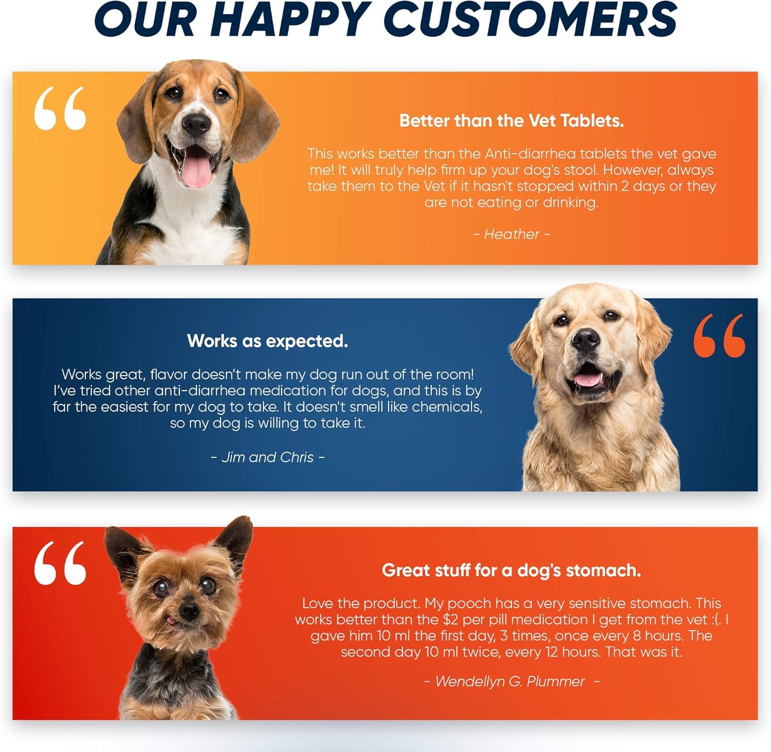 dog med for diarrhea