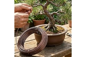 5M Anodized Aluminum Bonsai Training Wire, Large Roll,Many Size to Choose, Bendable Metal Wire for Crafts, Sculpting,Armature