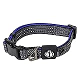 Franklin Sports Nylon Dog Collar – Reflective