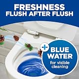 Bloo New 3in1 Toilet Blocks Pack of 2 - Limescale Remover & Freshener view 4