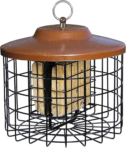 Suet Bird Feeders 