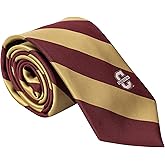 Desert Cactus College of Charleston Neck Tie CofC Cougars 100% Polyester Necktie with Logo, Officially Licensed (Style A)