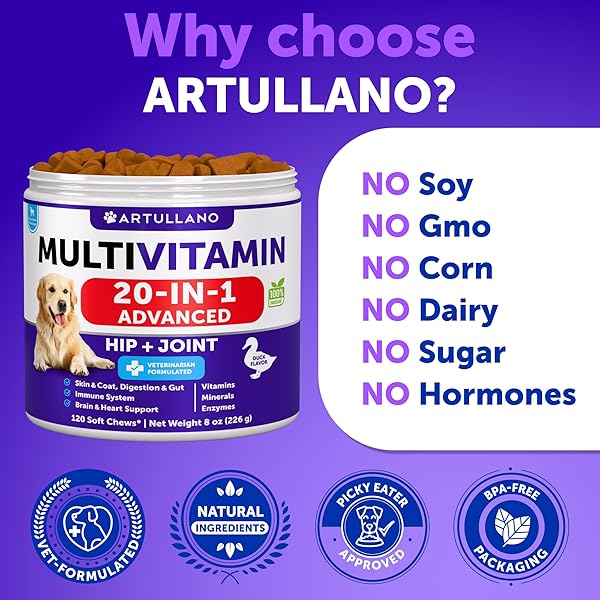 DOG MULTIVITAMIN CHEWABLE WITH GLUCOSAMINE 20 IN 1 – DOG VITAMINS AND SUPPLEMENTS – SENIOR & PUPPY MULTIVITAMIN FOR DOGS – PET JOINT SUPPORT HEALTH – IMMUNITY, MOBILITY, GUT SKIN – 120 CHEWS