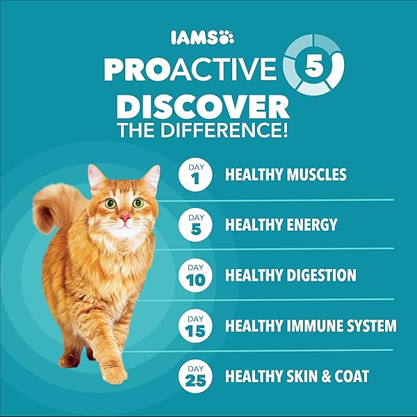 IAMS PROACTIVE HEALTH DRY CAT FOOD, INDOOR WEIGHT AND HAIRBALL CARE CAT FOOD DRY RECIPE, WITH REAL CHICKEN IN EVERY BITE, 16 LB. BAG