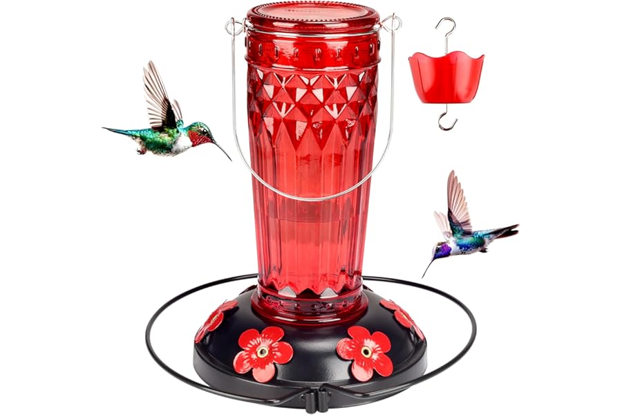 Best Glass Hummingbird Feeder for Outdoors (2026 Guide)