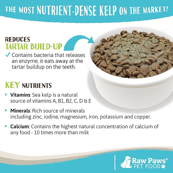 RAW PAWS ORGANIC KELP POWDER FOR DOGS & CATS (16-OUNCE) – SUPPORTS THYROID, DIGESTIVE & IMMUNE HEALTH – DRIED SEA KELP FOR DOGS – SEAWEED POWDER SUPPLEMENT