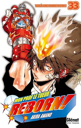 Download Reborn - Tome 33: Voilà une ombre noire ! PDF