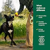 Earth Rated Dog Ball Interactive Fetch Toy Medium Yellow view 6