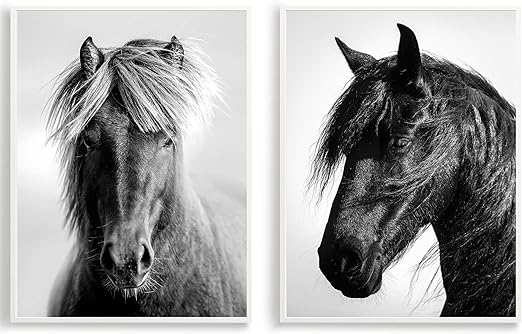 Design Pferde Poster 2er Set Schwarz Weiss Wand Poster Din A3 Kunstdrucke Auf Premiumpapier Mit Oder Ohne Bilder Rahmen Wand Deko Fur Kinderzimmer Baby Zimmer Oder Madchen Zimmer Ohne Rahmen Amazon De Kuche Haushalt