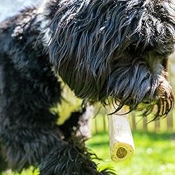 Cadet Stuffed Shin Bone, Long-Lasting Dog Chew