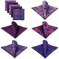 SHLAX&WING 5 Pieces Assorted Mens Silk Pocket
