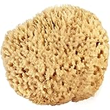 Sea Wool Sponge 5-6" (Large) by Bath & Shower Express Natural Renewable Resource!
