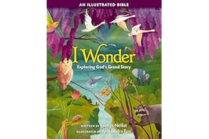 I Wonder: Exploring God's Grand Story: an Illustrated Bible