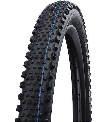 Schwalbe - Nobby Nic All MTB, Touring and Enduro Wire Clincher