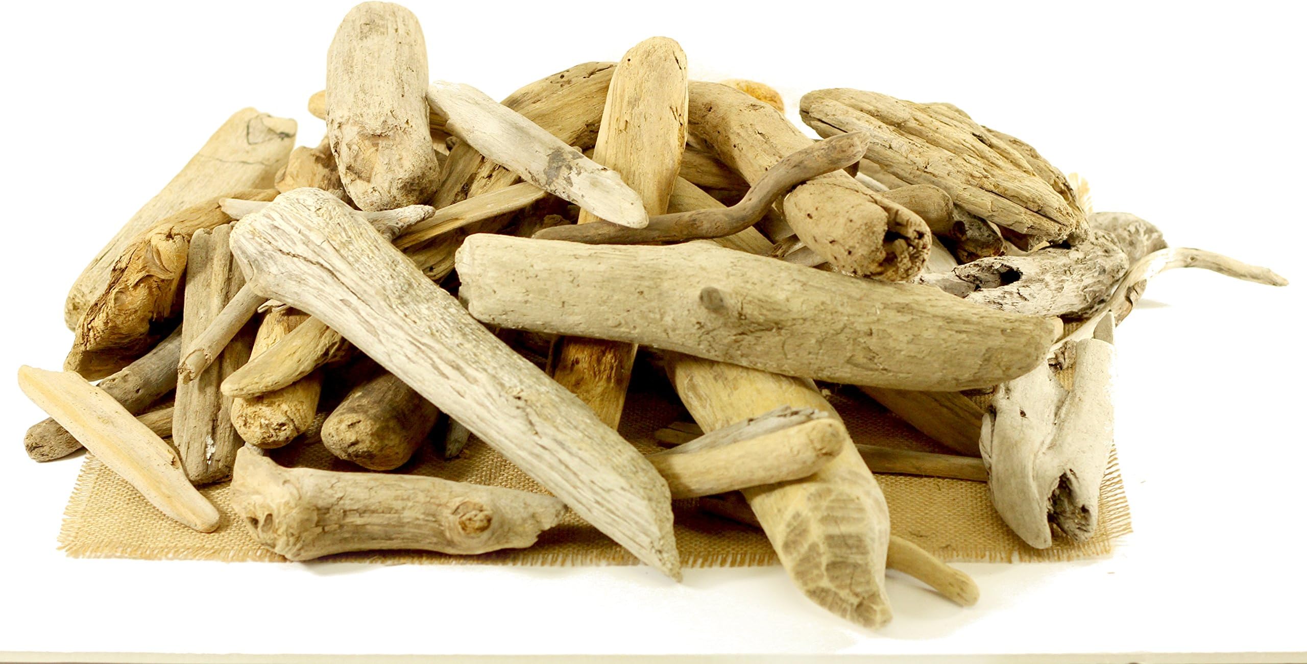 Natural Driftwood 6"-12" 50 Pcs Craft Unfinished Wood Decor