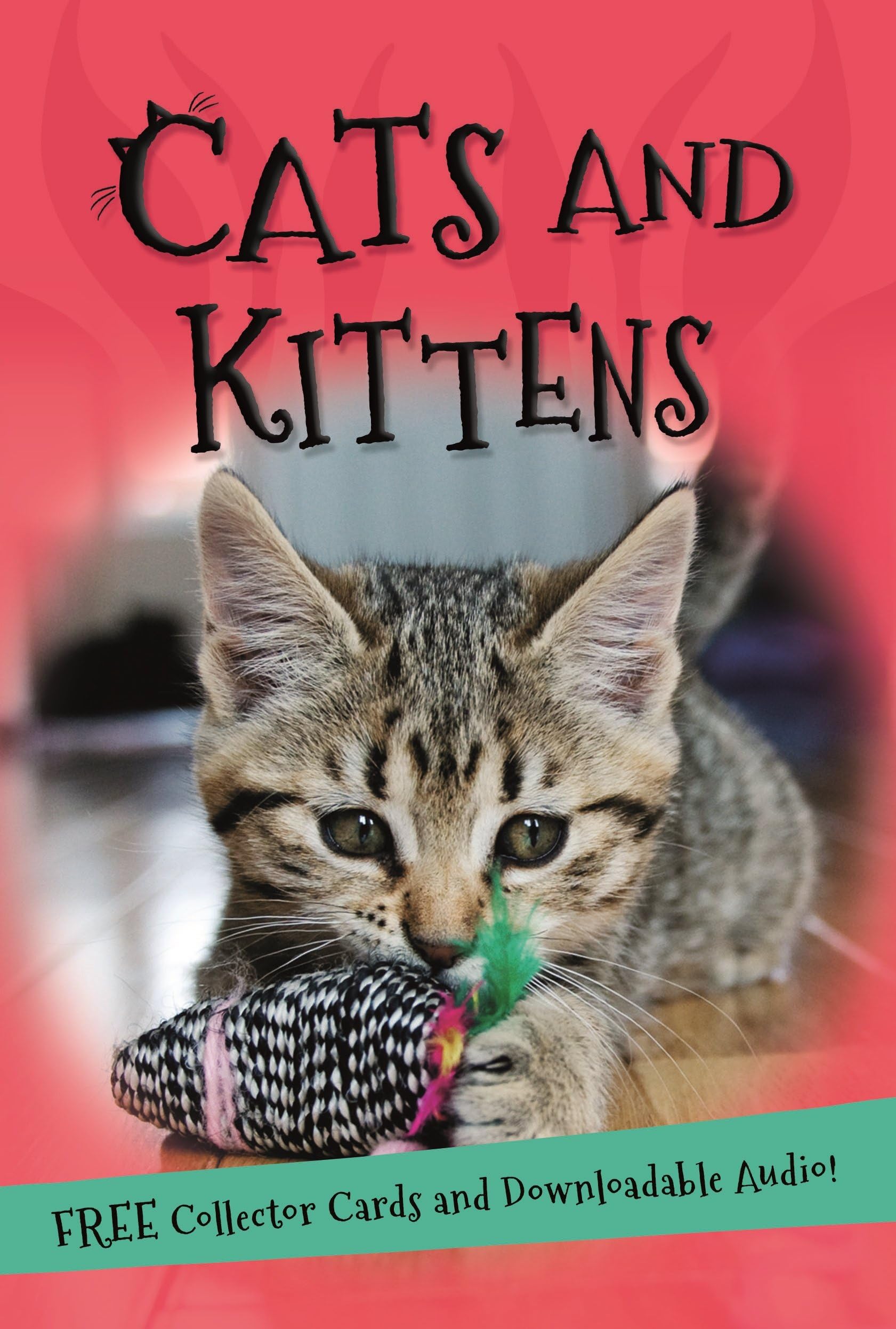 It's all about... Cats and Kittens