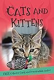 It's all about... Cats and Kittens