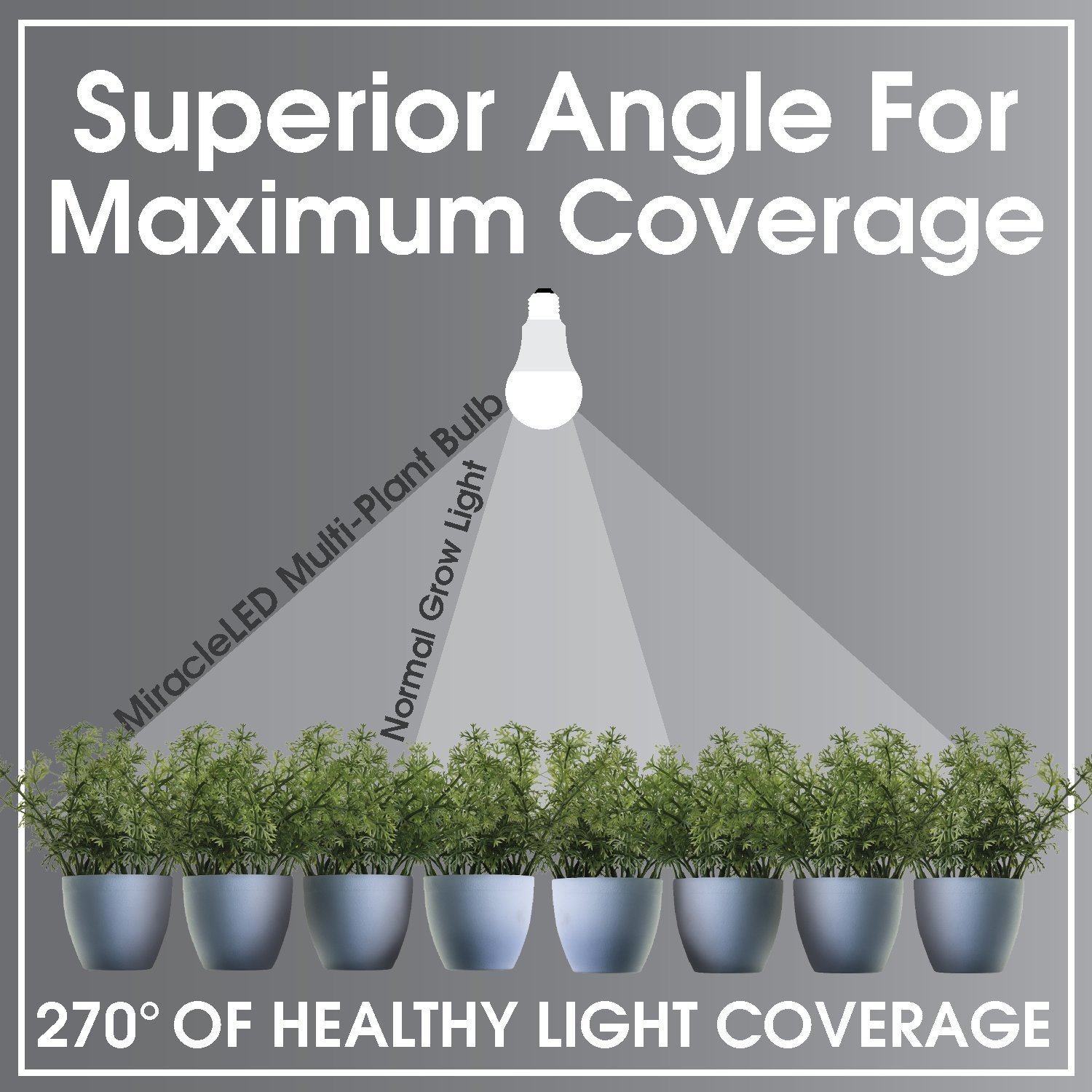 Amazon Com Best Led Grow Lights