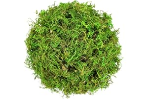 Fengek 2 Packs Artificial Moss Floral Decorative Fake Moss for Pot Plants Garden Crafts Flowers, 7 Ounce, Green