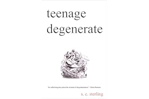 Teenage Degenerate: A Memoir that Explores the Depths of Methamphetamine and Drug Addiction