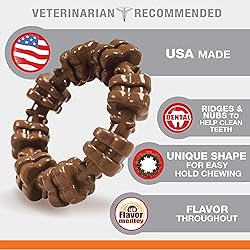 Nylabone Power Chew Textured Dog Chew Ring Toy, Dog