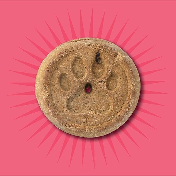 EVOLVE PET FOOD GRAIN FREE DEBONED SALMON AND CHICKPEA DOG BISCUITS 12 OUNCE (PACK OF 1)