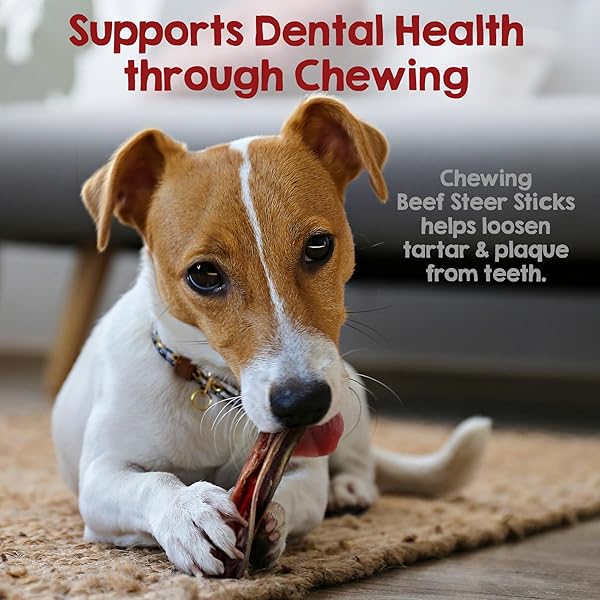RILEY’S STEER BULLY STICKS FOR TINY TO SMALL DOGS – ODOR FREE SINGLE INGREDIENT CHEW TREAT – EASILY DIGESTIBLE, 100% BEEF PIZZLE STICKS FOR DOGS – 4-6″, 10CT